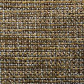 R3 Serengetti Cuckoo